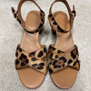 J. Crew Leopard Print Sandals NWOB